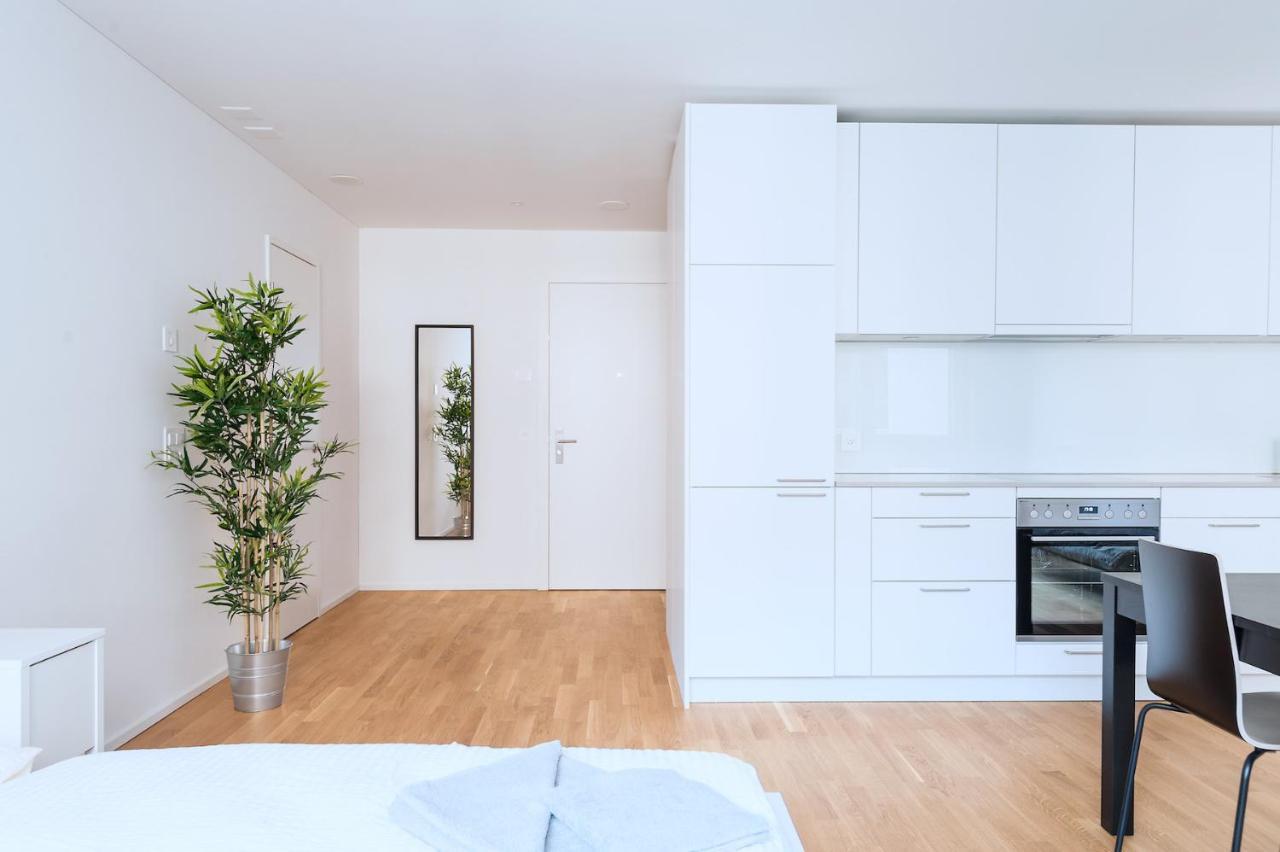 Hitrental Messe Apartments Βασιλεία Εξωτερικό φωτογραφία